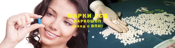ГАЛЛЮЦИНОГЕННЫЕ ГРИБЫ Абаза