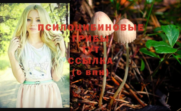 ГАЛЛЮЦИНОГЕННЫЕ ГРИБЫ Абаза