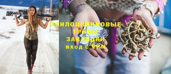 ГАЛЛЮЦИНОГЕННЫЕ ГРИБЫ Абаза