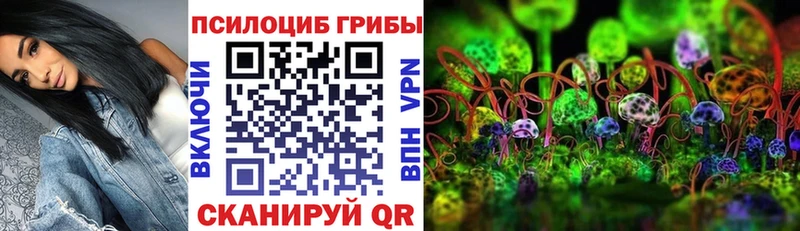 Галлюциногенные грибы мухоморы Костомукша